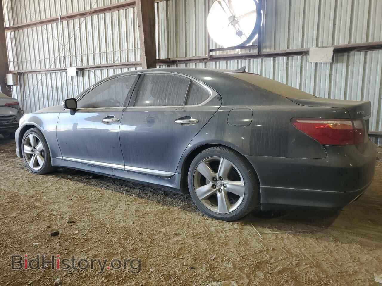 2010 LEXUS LS460 - VIN: JTHBL5EF5A5091702 - Фото 2