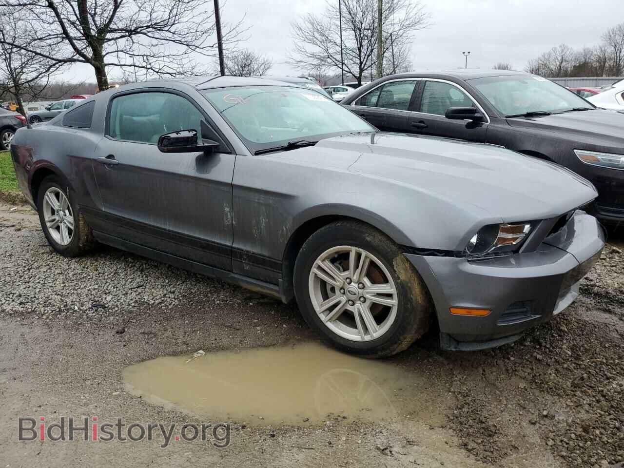 2010 FORD ALL Models - VIN: 1ZVBP8AN8A5134754 - Фото 4