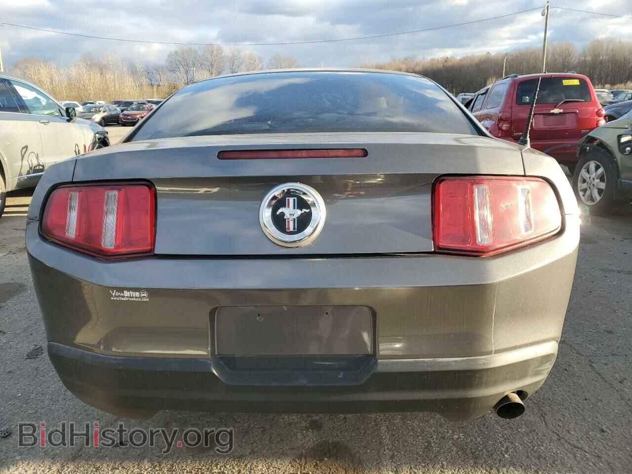 2010 FORD ALL Models - VIN: 1ZVBP8AN8A5134754 - Фото 6