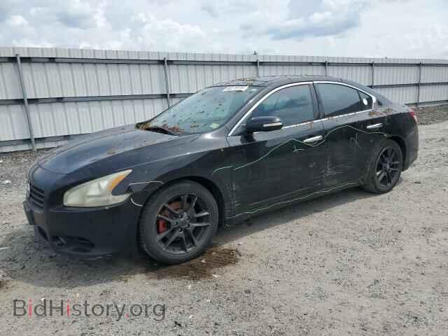 Photo 1N4AA5AP1BC842475 - NISSAN MAXIMA 2011
