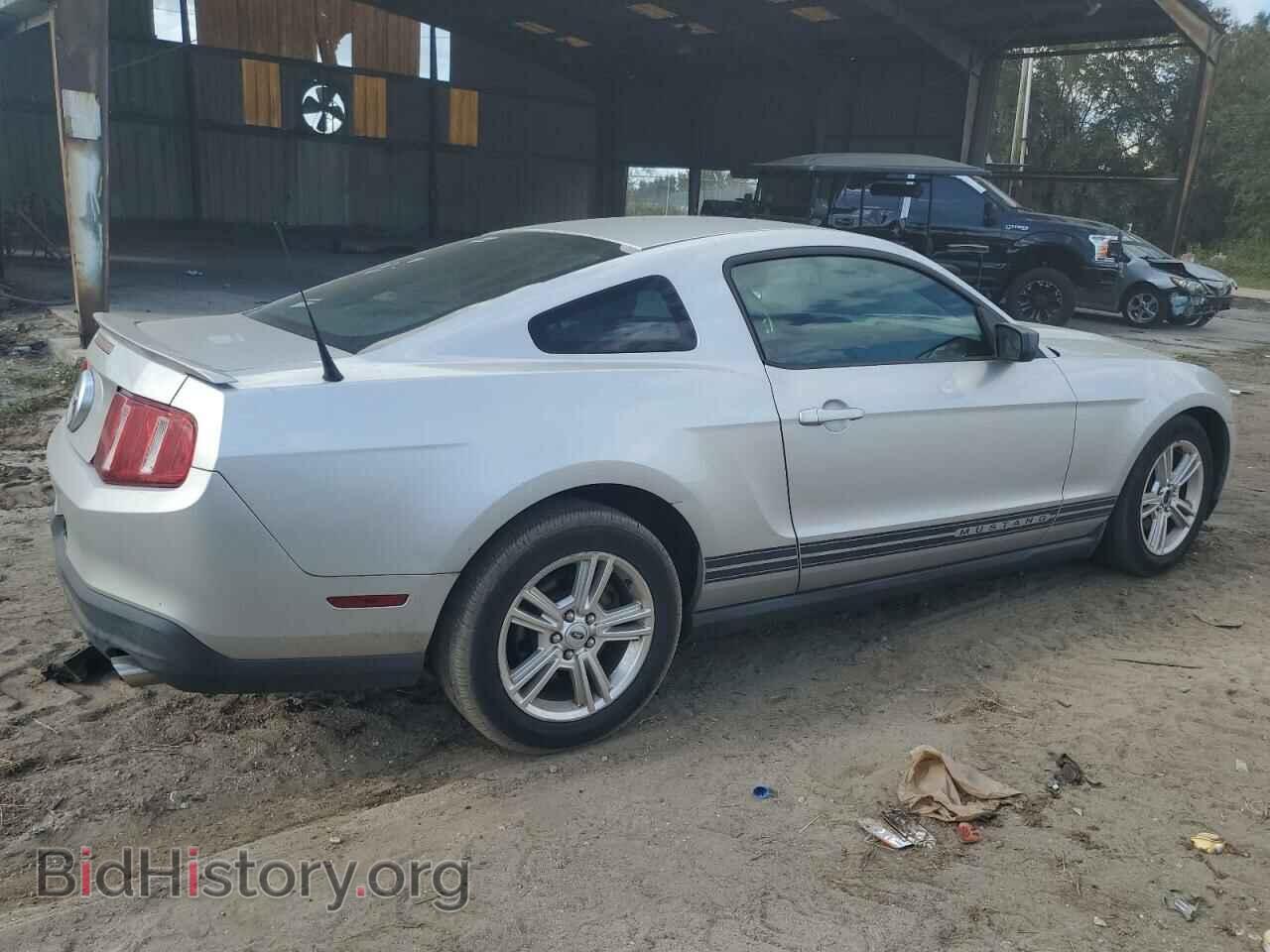 2010 FORD ALL Models - VIN: 1ZVBP8AN6A5147793 - Фото 3