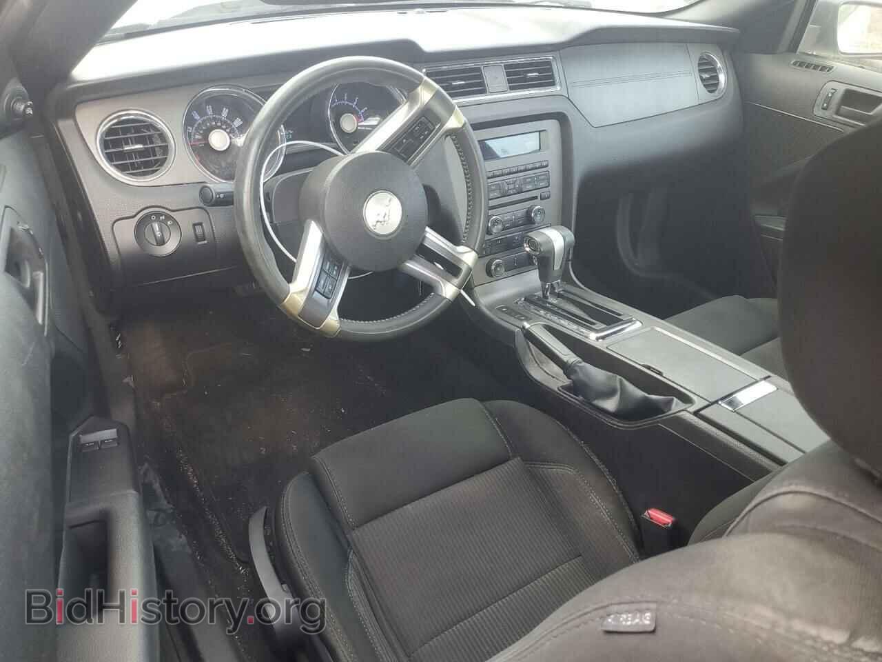 2010 FORD ALL Models - VIN: 1ZVBP8AN6A5147793 - Фото 8