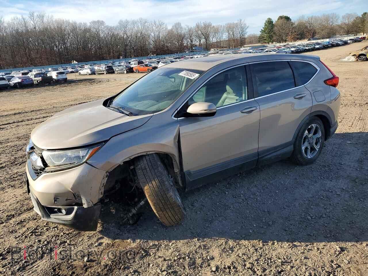Photo 5J6RW1H58KL001064 - HONDA CRV 2019