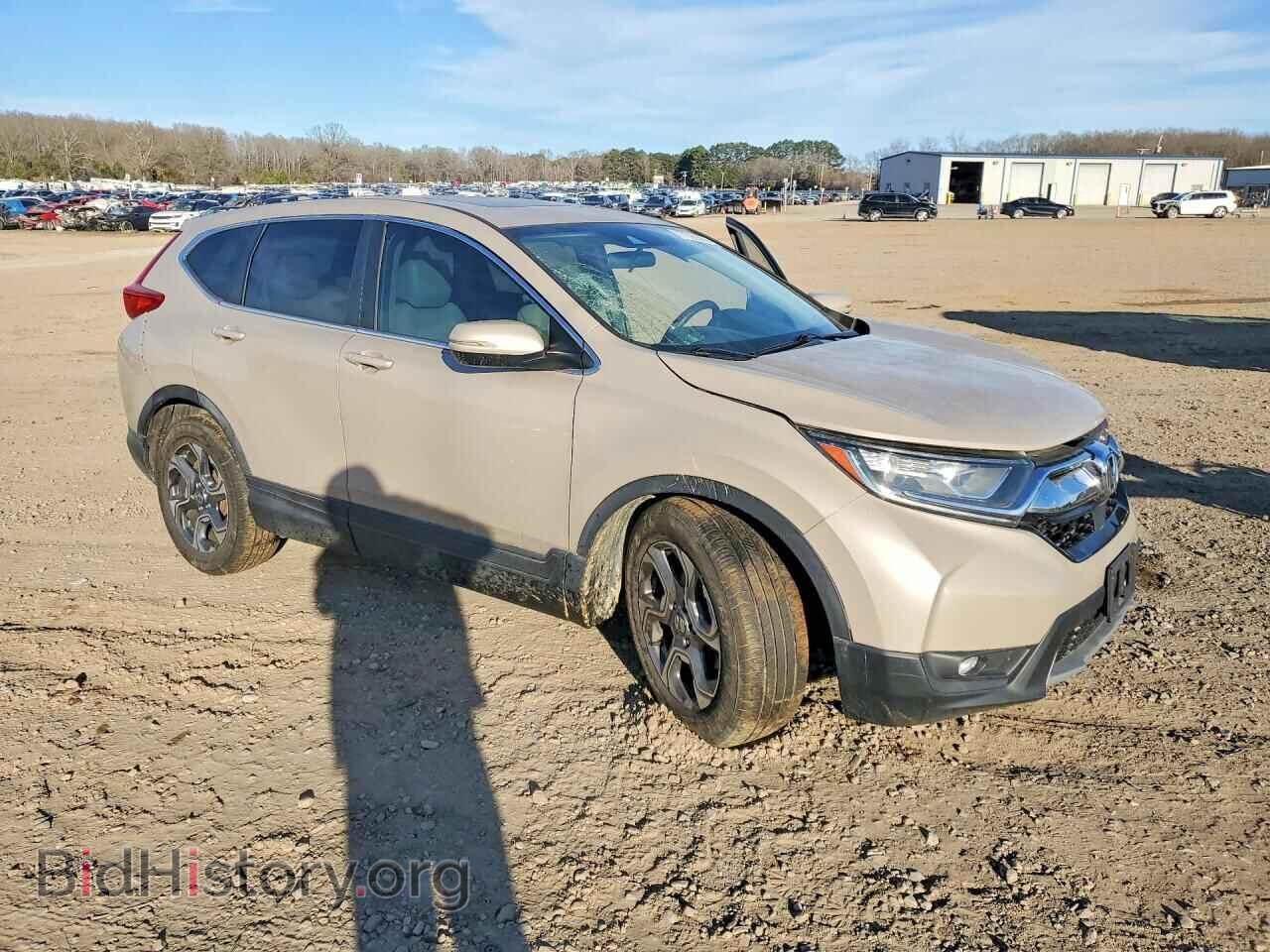 2019 HONDA CRV - VIN: 5J6RW1H58KL001064 - Фото 4