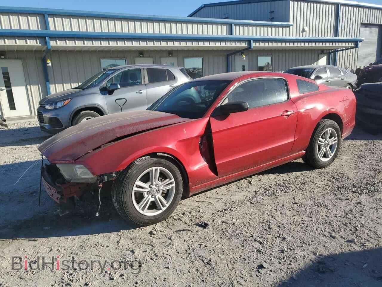 Photo 1ZVBP8AM3D5242923 - FORD ALL Models 2013