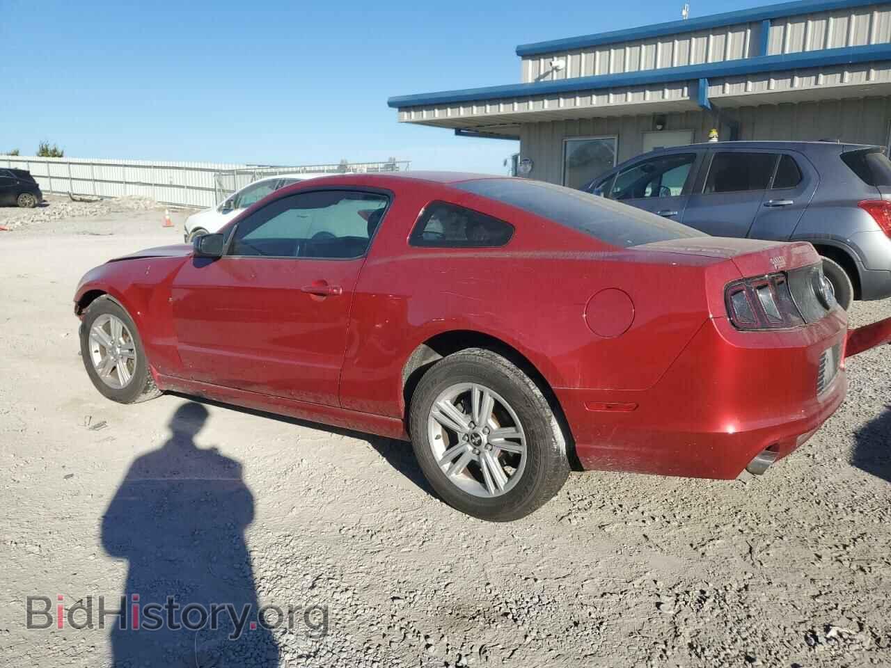 2013 FORD ALL Models - VIN: 1ZVBP8AM3D5242923 - Фото 2