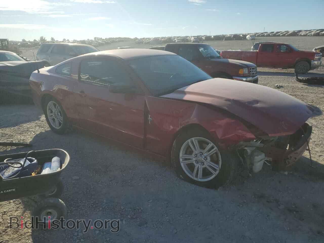 2013 FORD ALL Models - VIN: 1ZVBP8AM3D5242923 - Фото 4