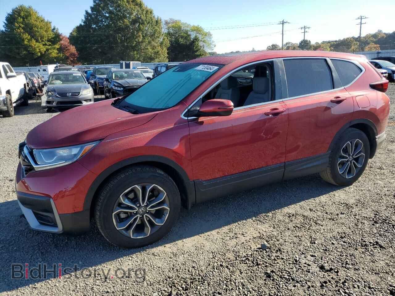 Фотография 5J6RW1H8XML005081 - HONDA CRV 2021