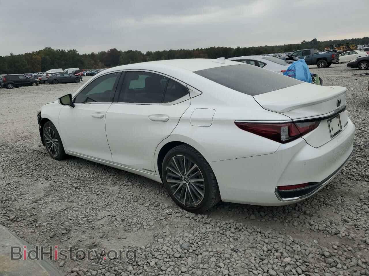 2022 LEXUS ES300 - VIN: 58ADA1C19NU025931 - Фото 2