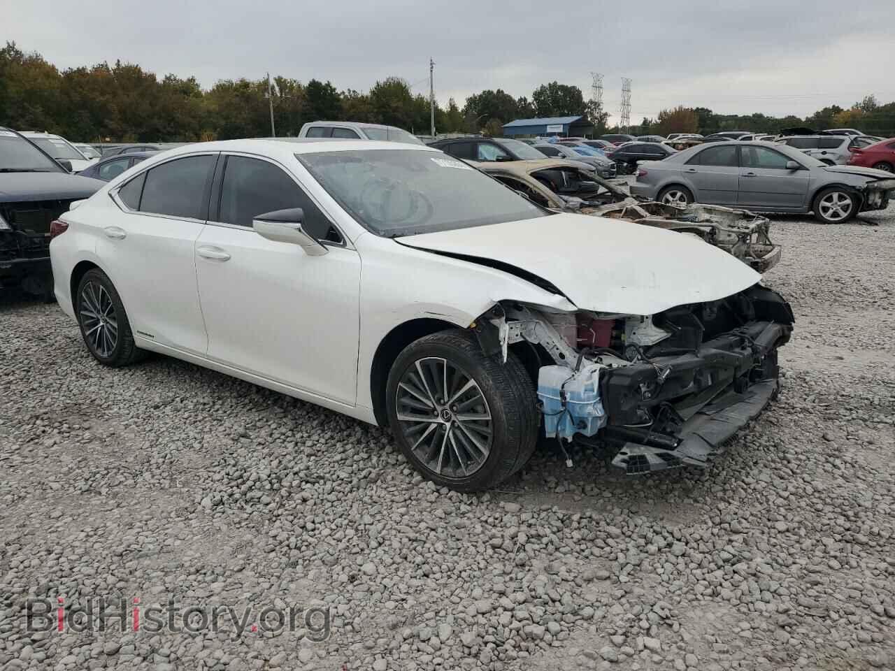2022 LEXUS ES300 - VIN: 58ADA1C19NU025931 - Фото 4