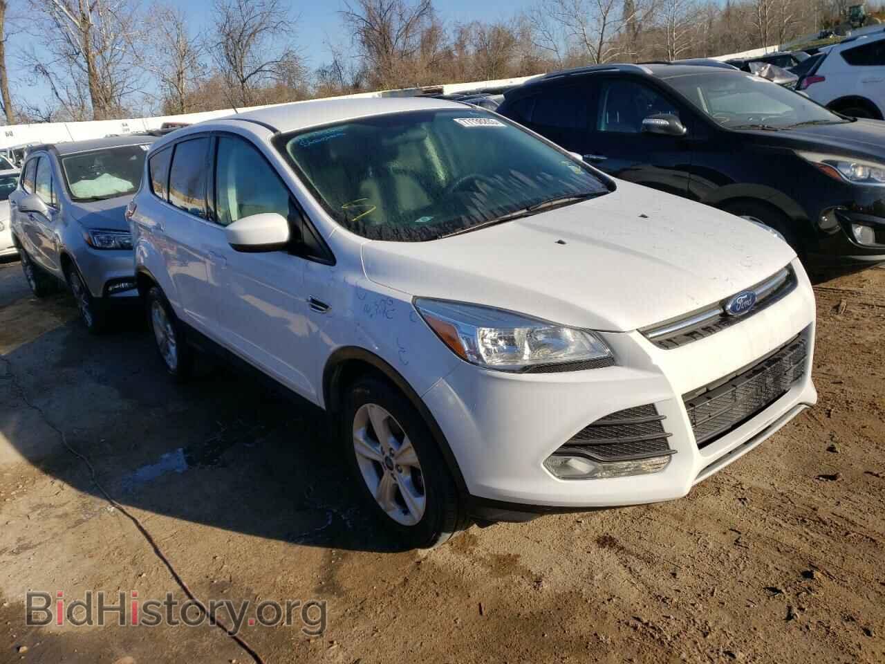 2014 FORD ESCAPE - VIN: 1FMCU0GX7EUB00919 - Фото 4
