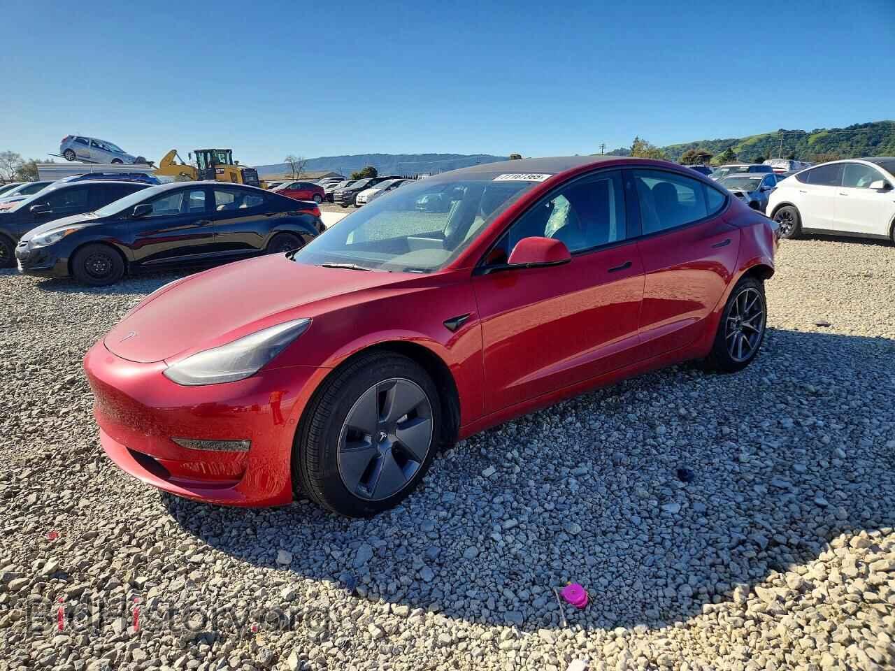 Photo 5YJ3E1EB0NF298492 - TESLA MODEL 3 2022