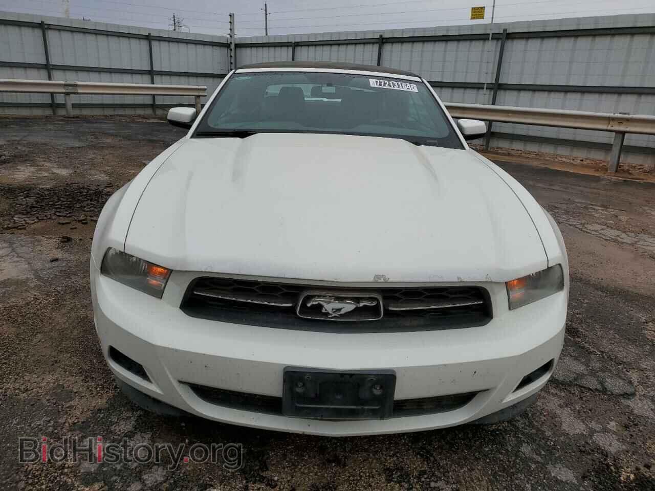 2012 FORD ALL Models - VIN: 1ZVBP8EM0C5243259 - Фото 5