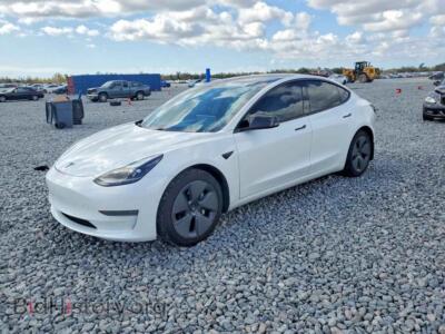 2021 Tesla MODEL 3, white — VIN 5YJ3E1EA3MF028811, Copart