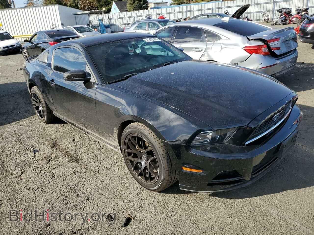 2013 FORD ALL Models - VIN: 1ZVBP8AM6D5272109 - Фото 4