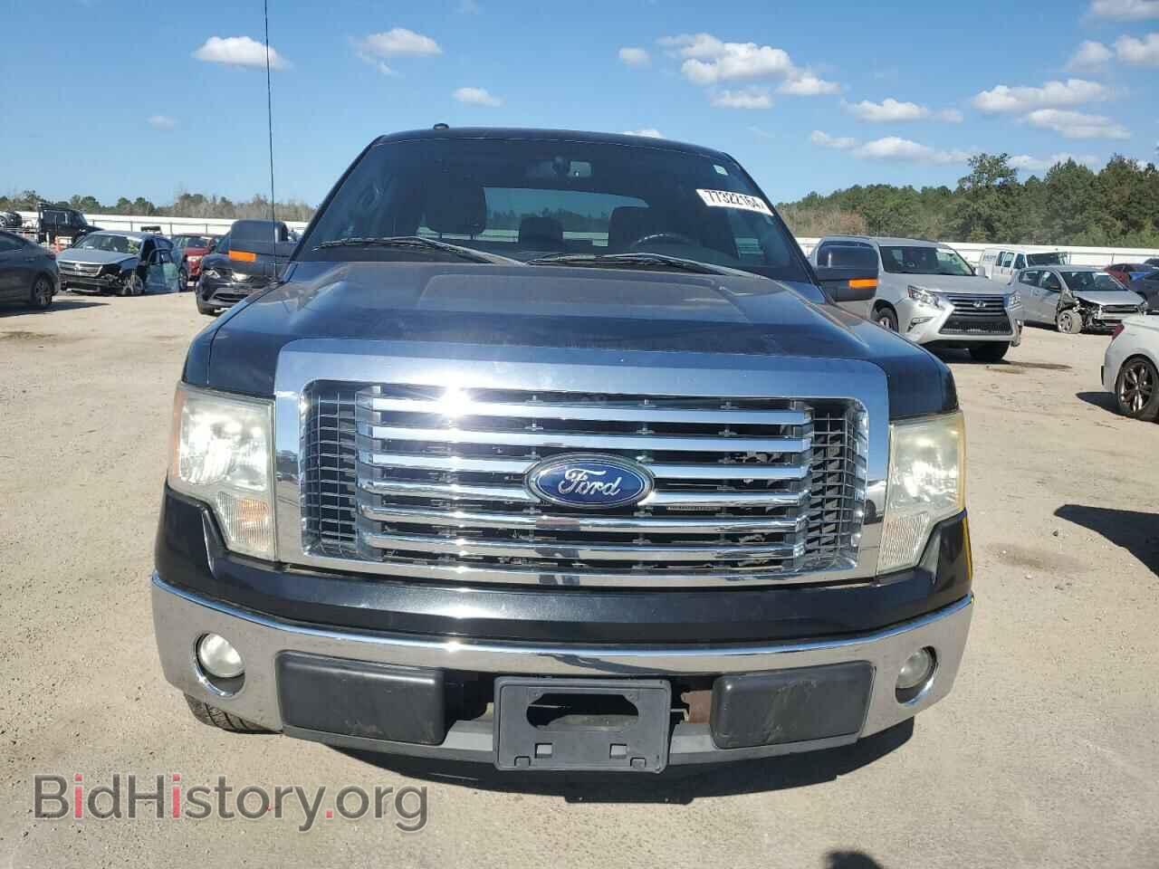 2012 FORD F-150 - VIN: 1FTEW1CM5CKD42304 - Фото 5