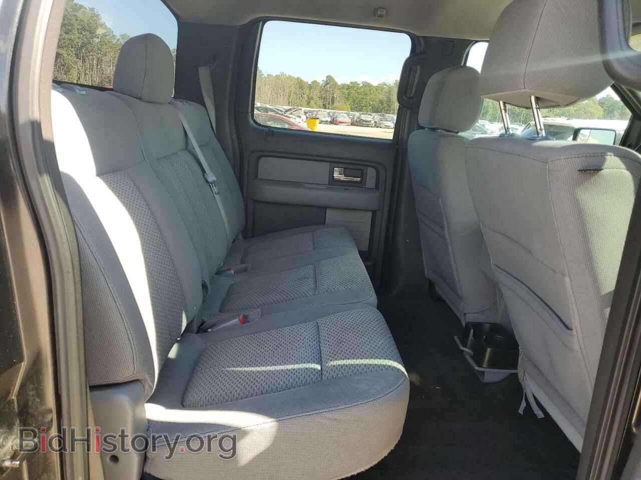 2012 FORD F-150 - VIN: 1FTEW1CM5CKD42304 - Фото 10