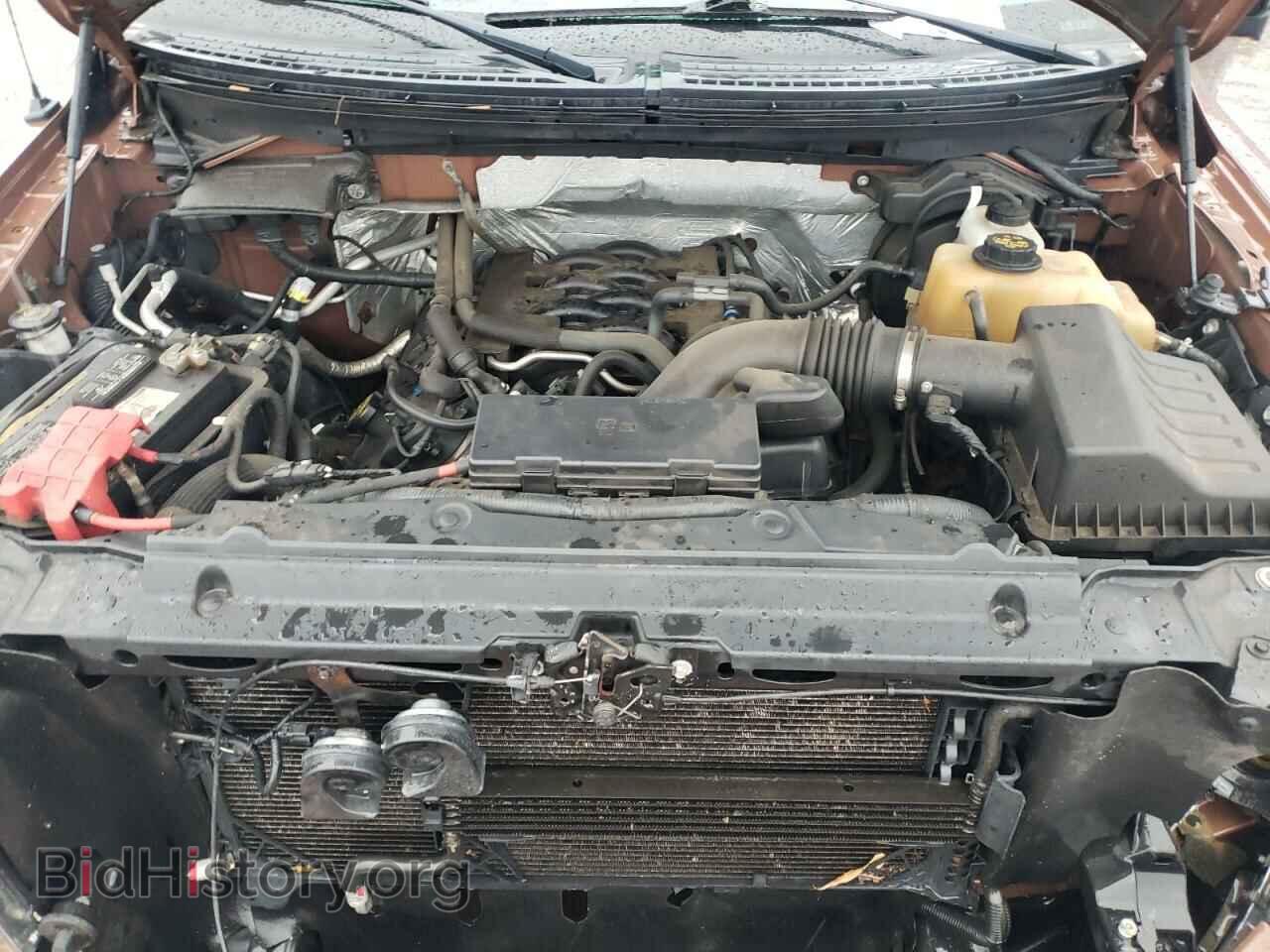 2011 FORD F-150 - VIN: 1FTFX1EF9BKD14665 - Фото 11