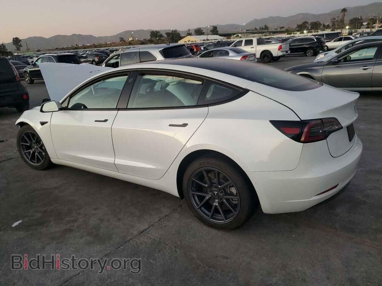 2021 TESLA MODEL 3 - VIN: 5YJ3E1EA5MF907825 - Фото 2