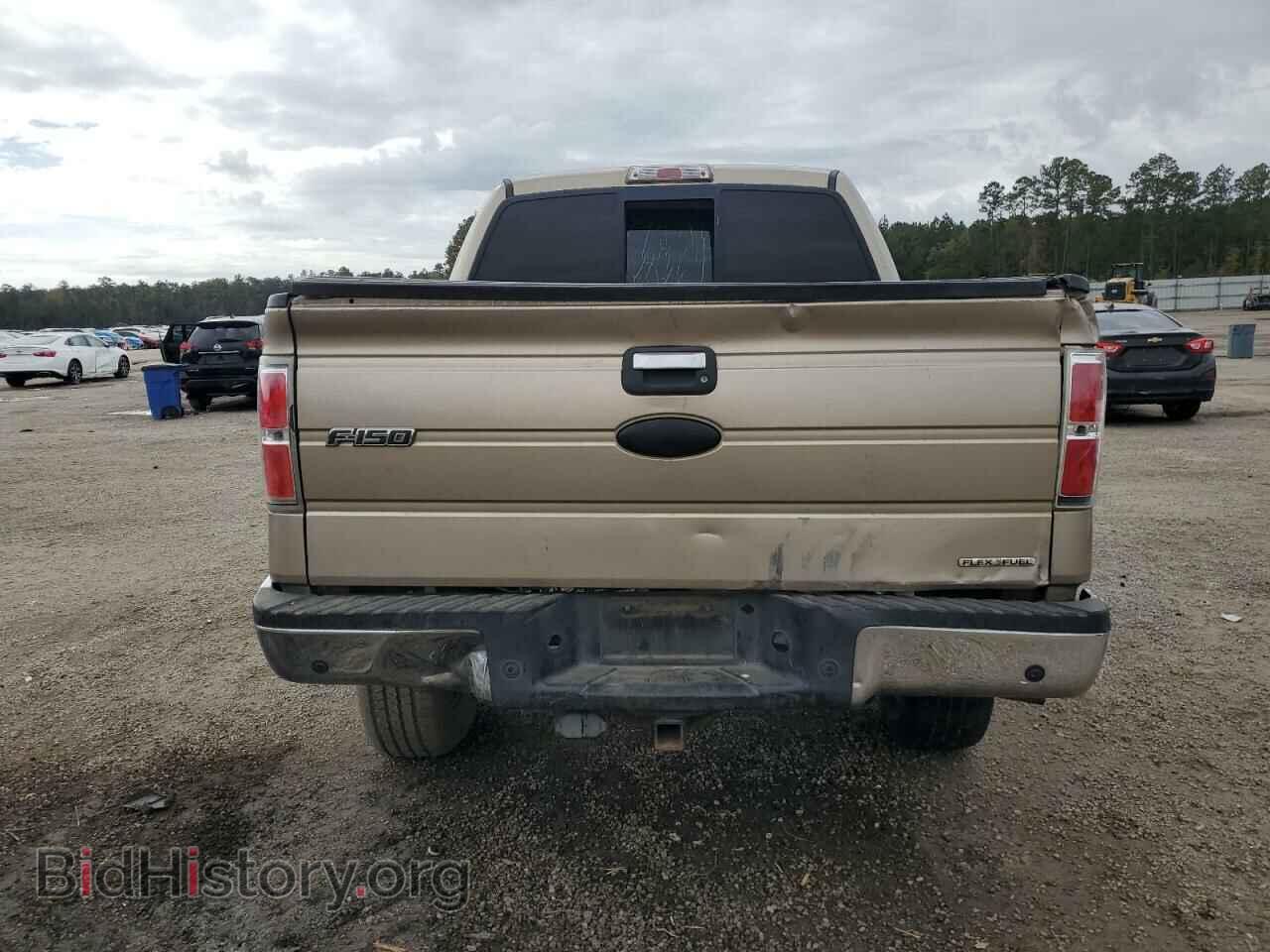 2011 FORD F-150 - VIN: 1FTFW1EF2BFB51319 - Фото 6