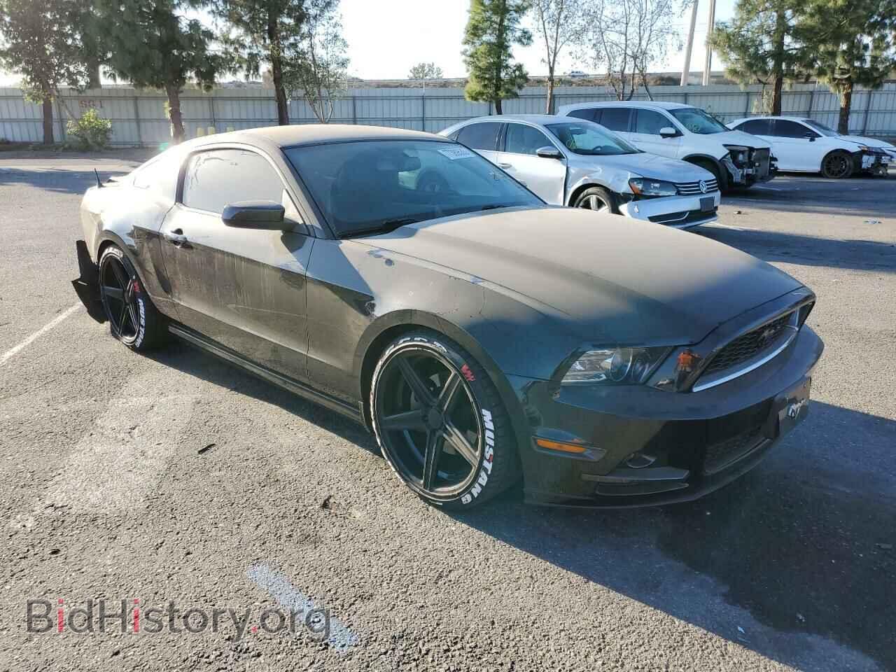 2013 FORD ALL Models - VIN: 1ZVBP8AM8D5269566 - Фото 4
