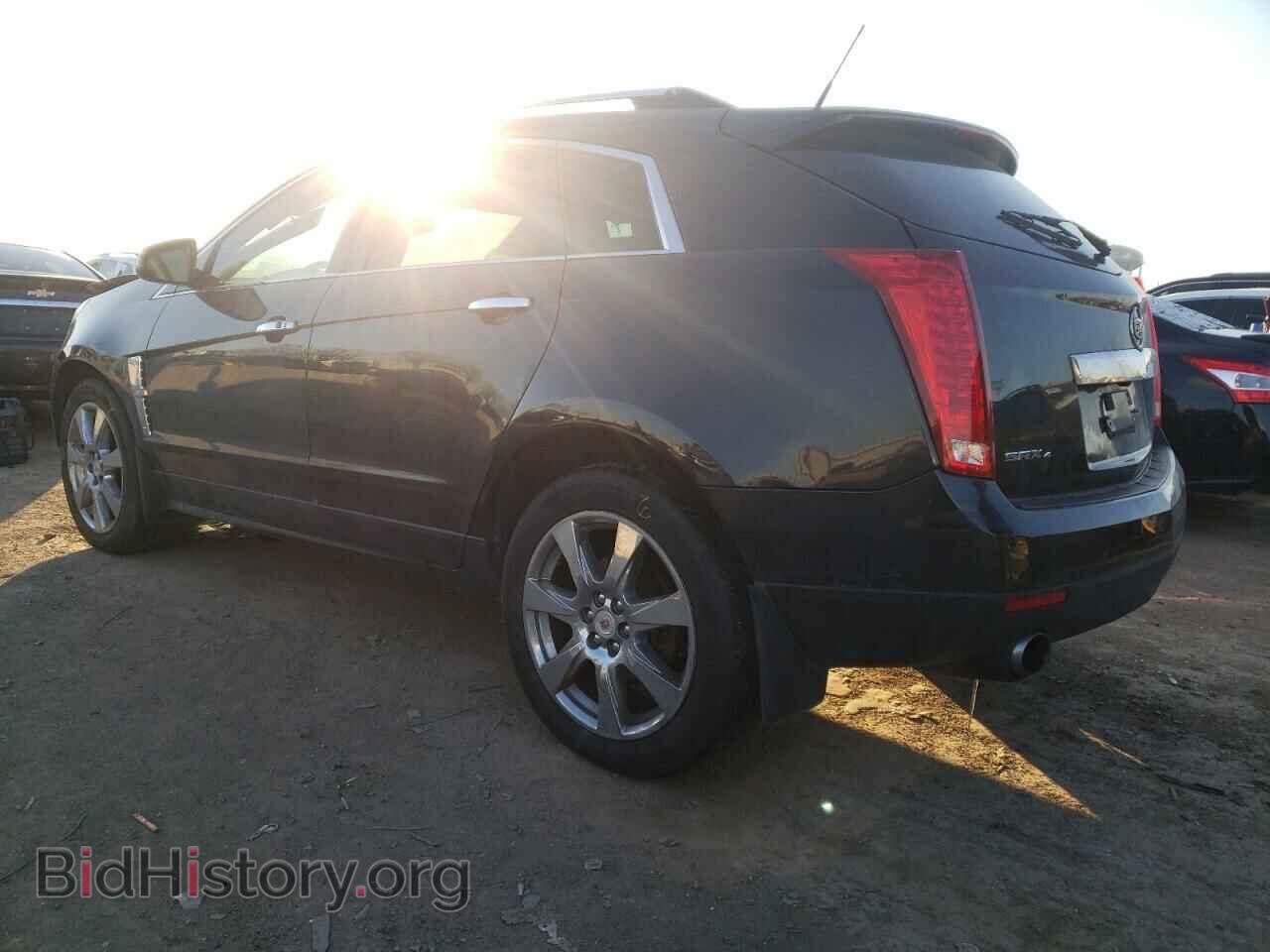 2012 CADILLAC SRX - VIN: 3GYFNFE36CS519644 - Фото 2