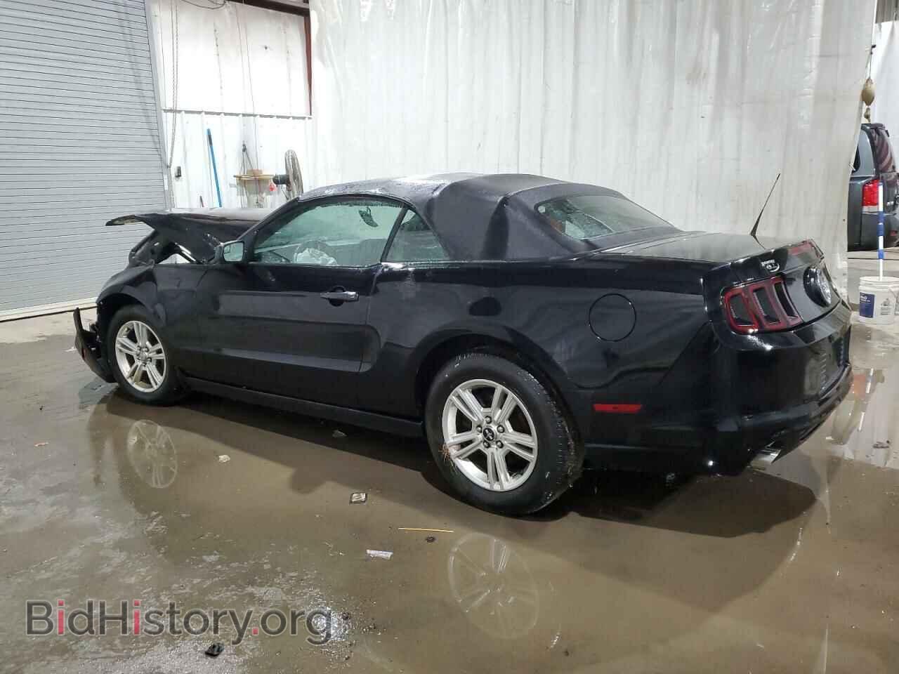 2013 FORD ALL Models - VIN: 1ZVBP8EM4D5209634 - Photo 2