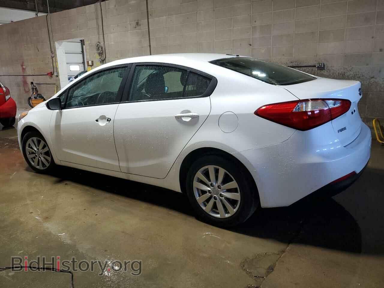 2014 KIA FORTE - VIN: KNAFX4A66E5165297 - Фото 2