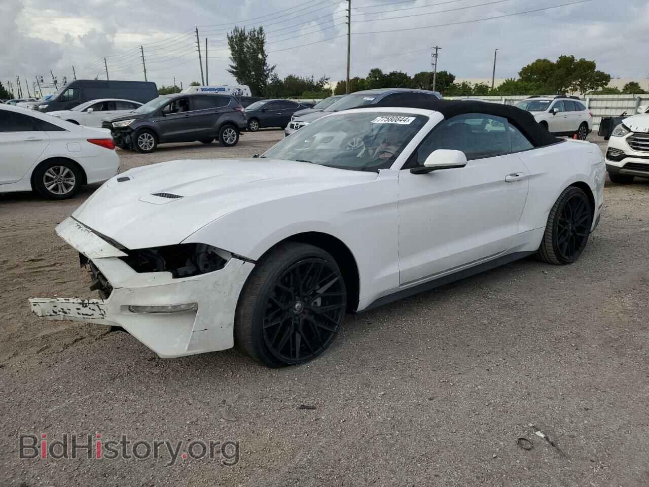 Фотография 1FATP8UH5K5148776 - FORD ALL Models 2019