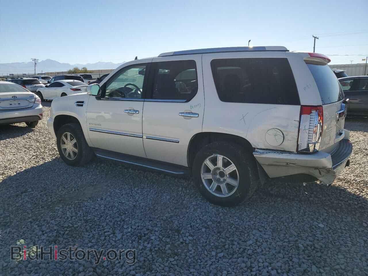 2013 CADILLAC ESCALADE - VIN: 1GYS3AEF9DR325454 - Фото 2