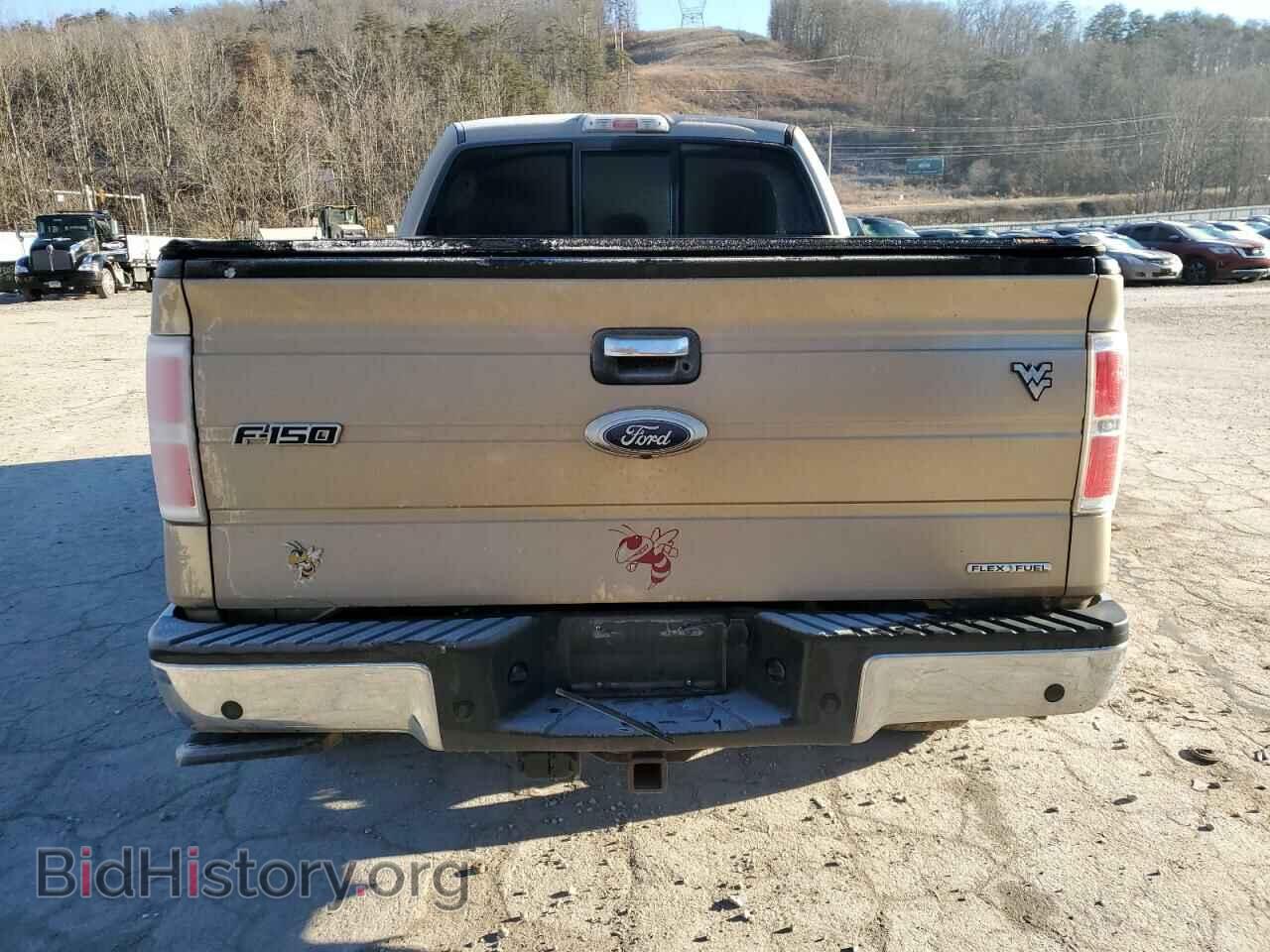 2013 FORD F-150 - VIN: 1FTFX1EF6DFB17416 - Фото 6