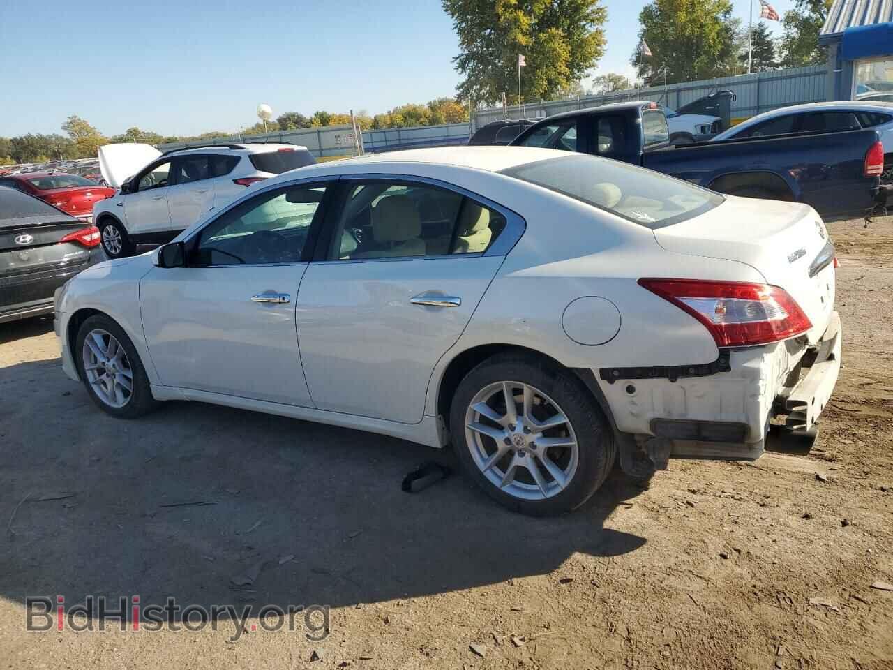 2011 NISSAN MAXIMA - VIN: 1N4AA5AP3BC850142 - Фото 2