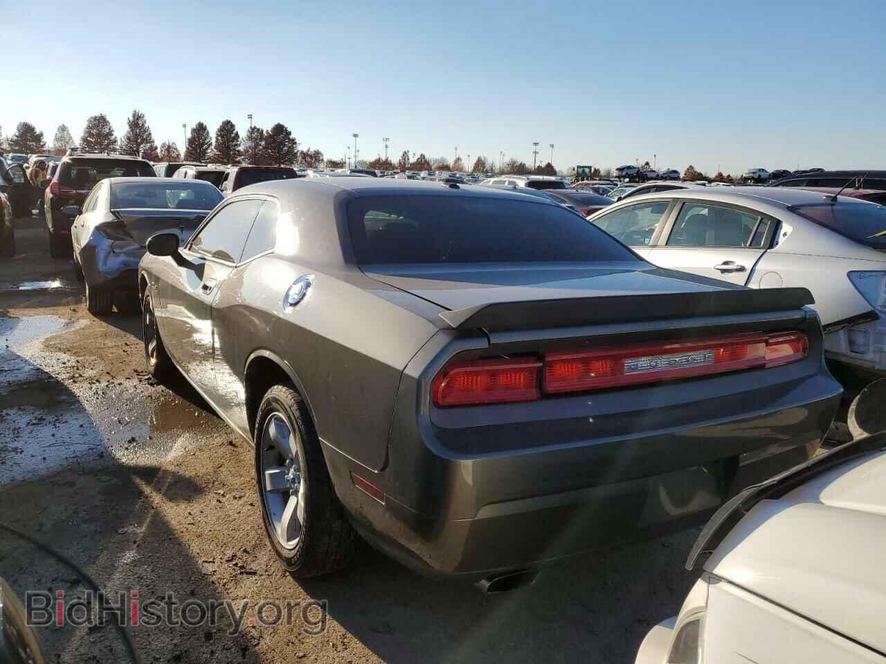 2010 DODGE CHALLENGER - VIN: 2B3CJ4DV4AH142261 - Фото 2