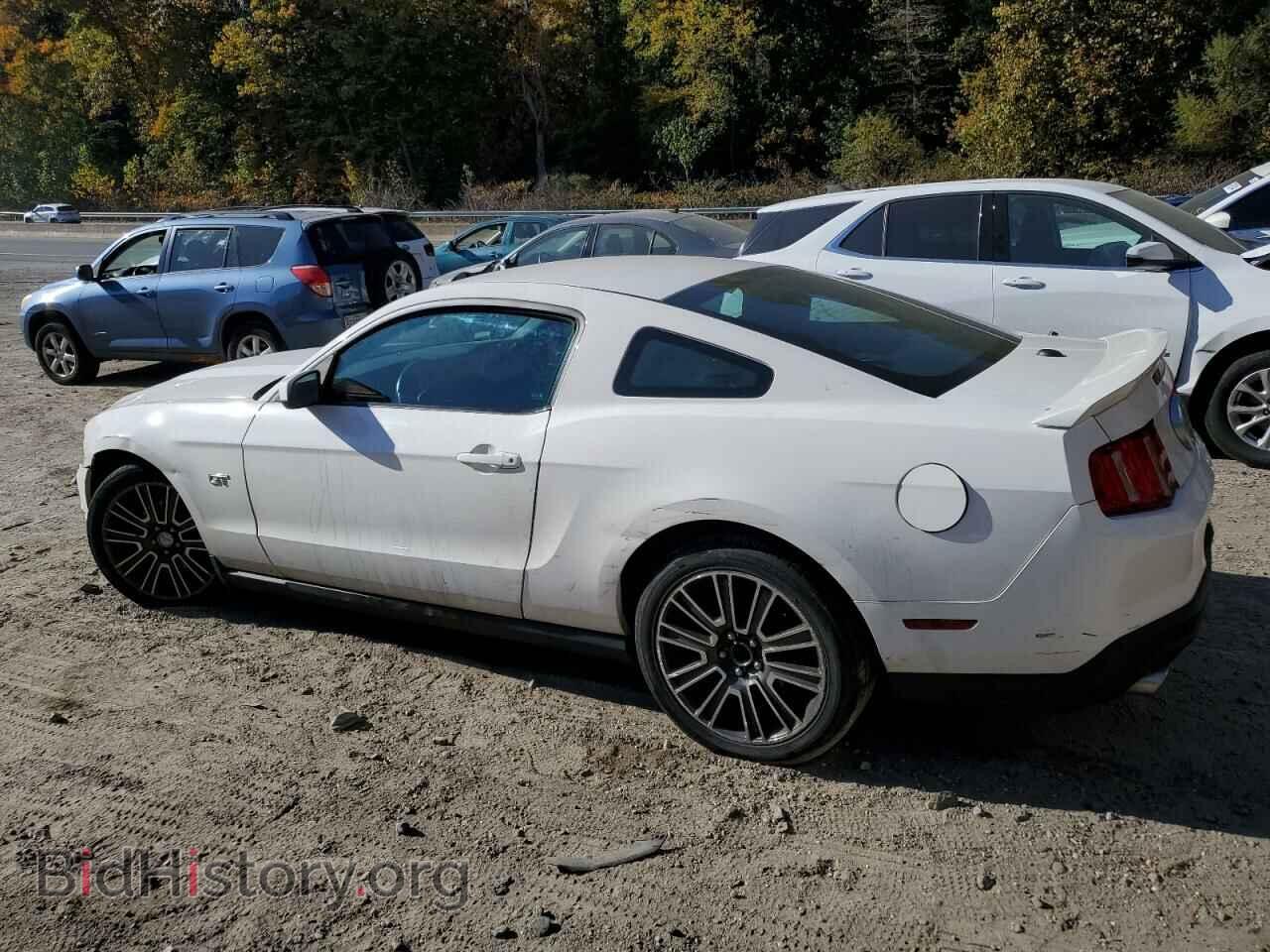 2010 FORD MUSTANG - VIN: 1ZVBP8CH7A5112414 - Фото 2