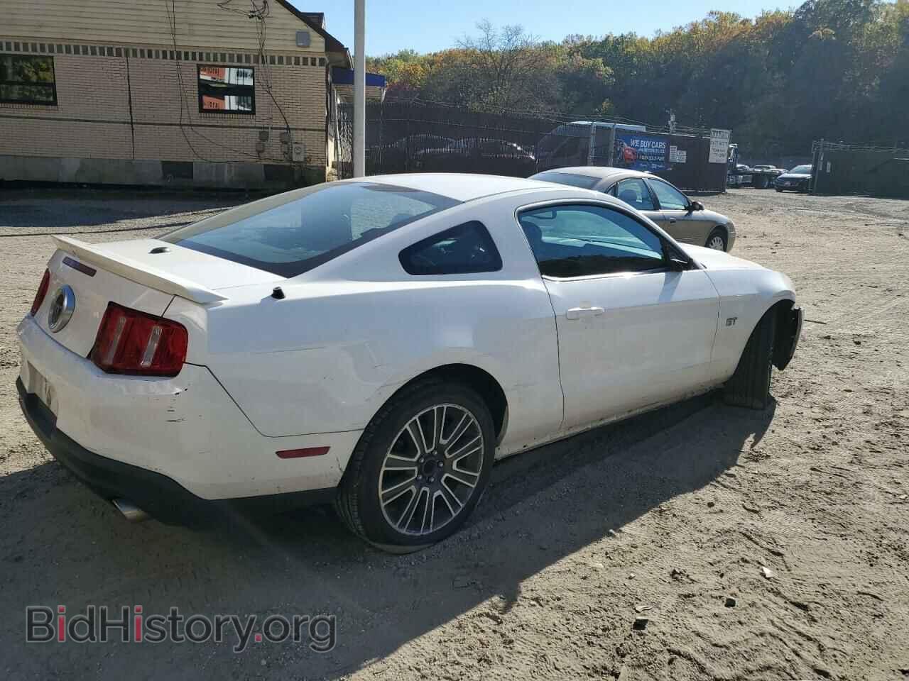 2010 FORD MUSTANG - VIN: 1ZVBP8CH7A5112414 - Фото 3