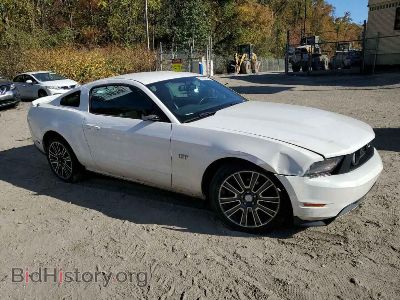 2010 FORD MUSTANG - VIN: 1ZVBP8CH7A5112414 - Фото 4