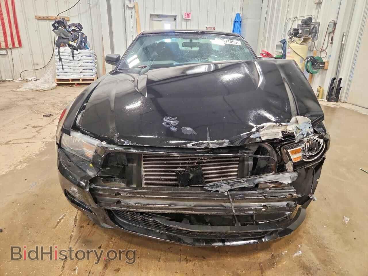 2012 FORD MUSTANG - VIN: 1ZVBP8AM1C5232311 - Фото 5