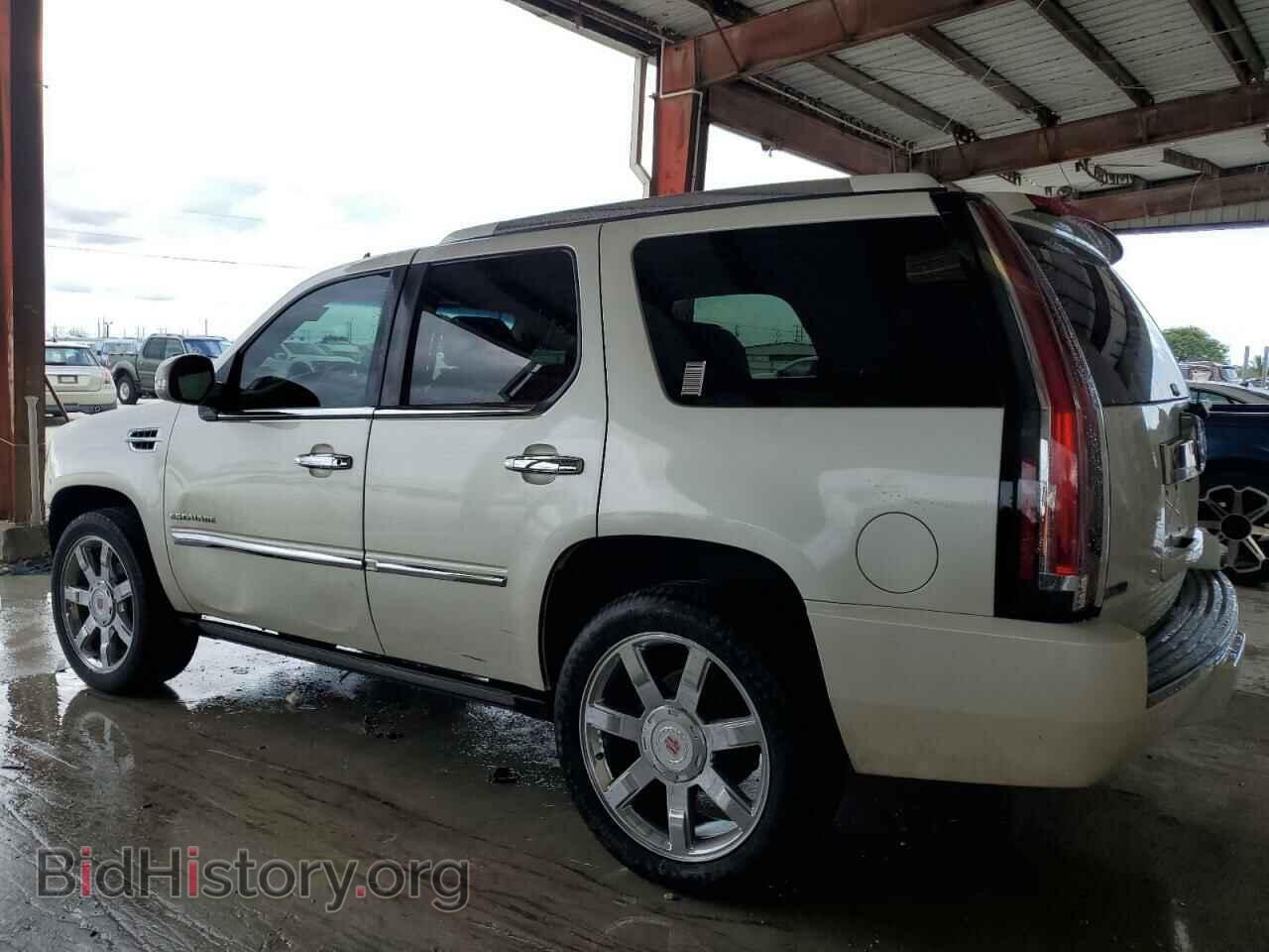 2011 CADILLAC ESCALADE - VIN: 1GYS3CEF6BR260698 - Фото 2