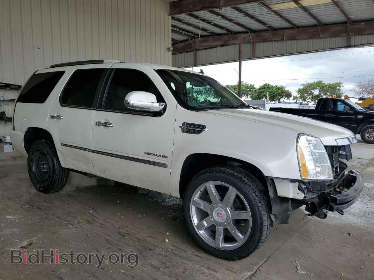 2011 CADILLAC ESCALADE - VIN: 1GYS3CEF6BR260698 - Фото 4