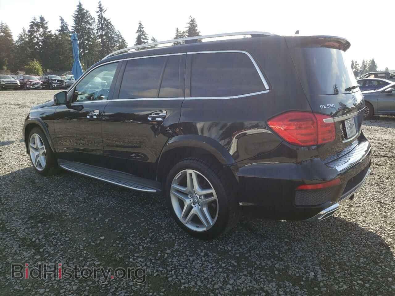 2013 MERCEDES-BENZ GL-CLASS - VIN: 4JGDF7DE3DA218346 - Фото 2