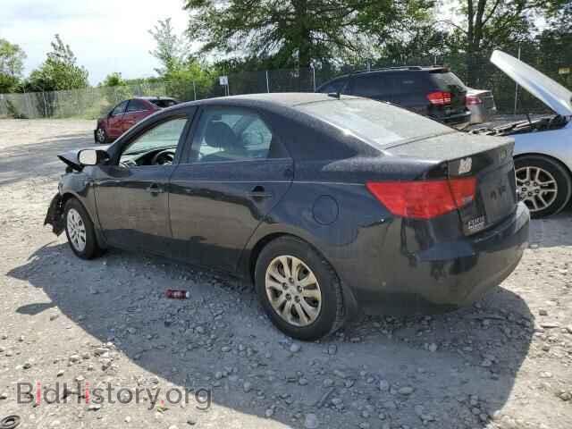 2013 KIA FORTE - VIN: KNAFU4A24D5704357 - Фото 2