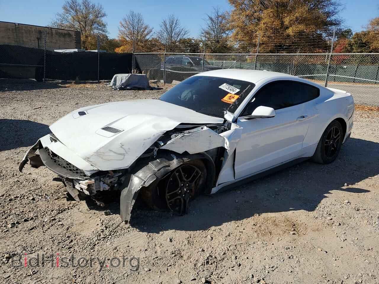 Фотография 1FA6P8TH5K5120345 - FORD ALL Models 2019