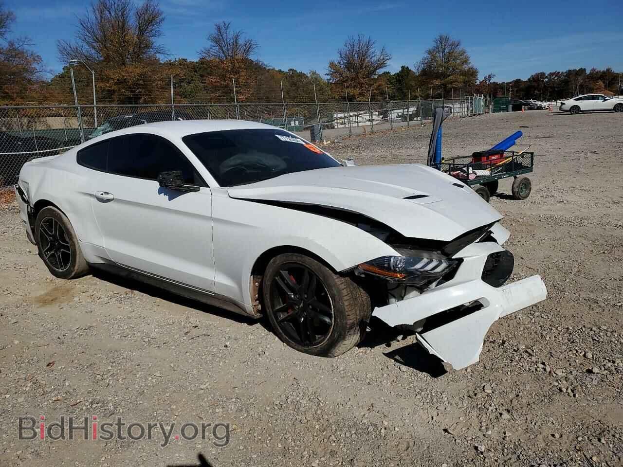 2019 FORD ALL Models - VIN: 1FA6P8TH5K5120345 - Фото 4