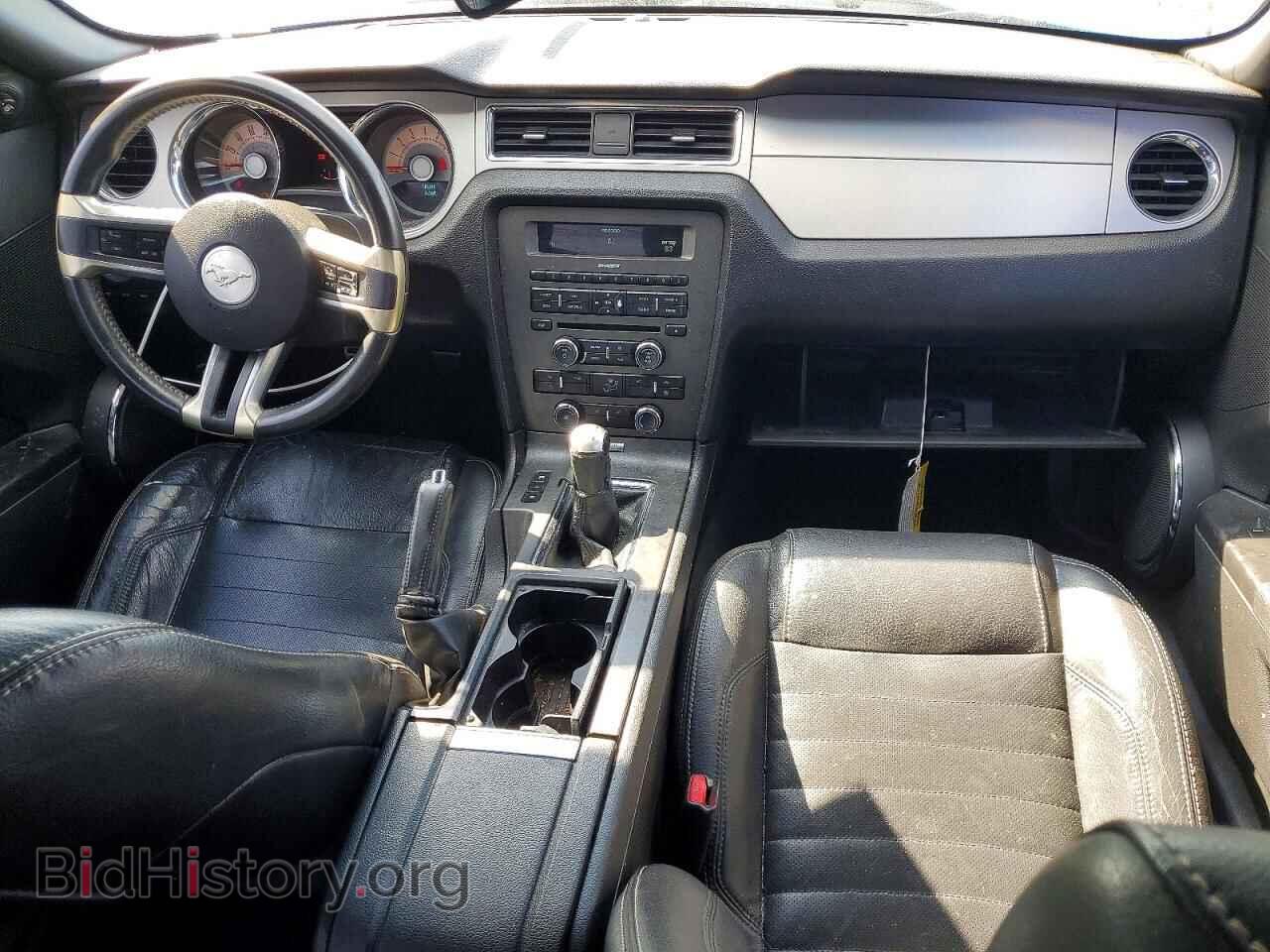 2010 FORD MUSTANG - VIN: 1ZVBP8CH4A5117893 - Фото 8