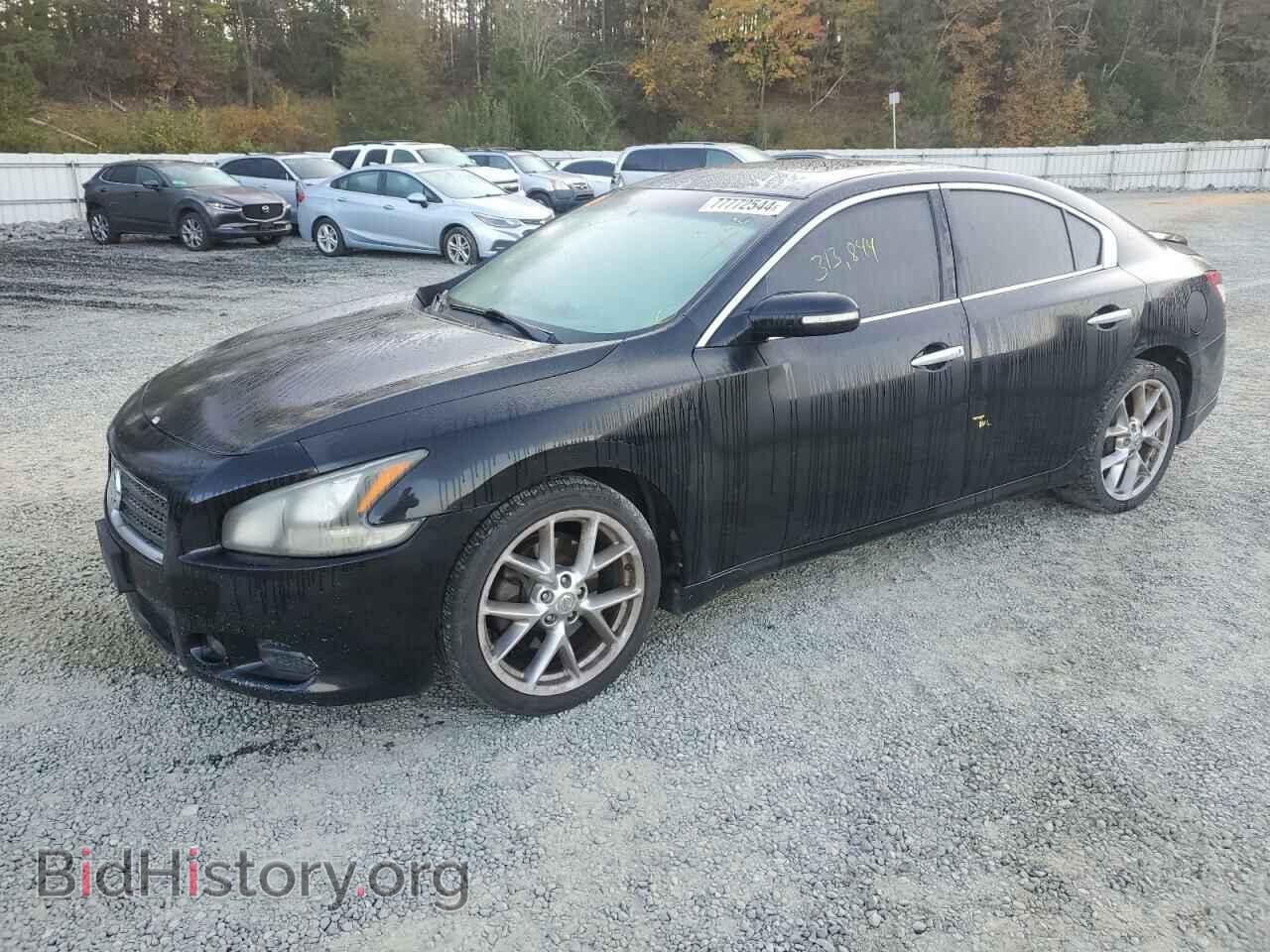 Photo 1N4AA5AP1BC804082 - NISSAN MAXIMA 2011