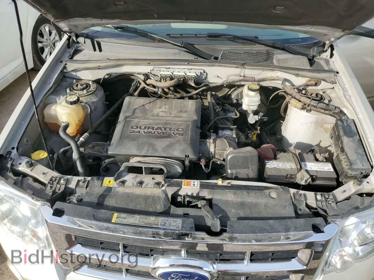 2010 FORD ESCAPE - VIN: 1FMCU0DG8AKB20249 - Фото 11