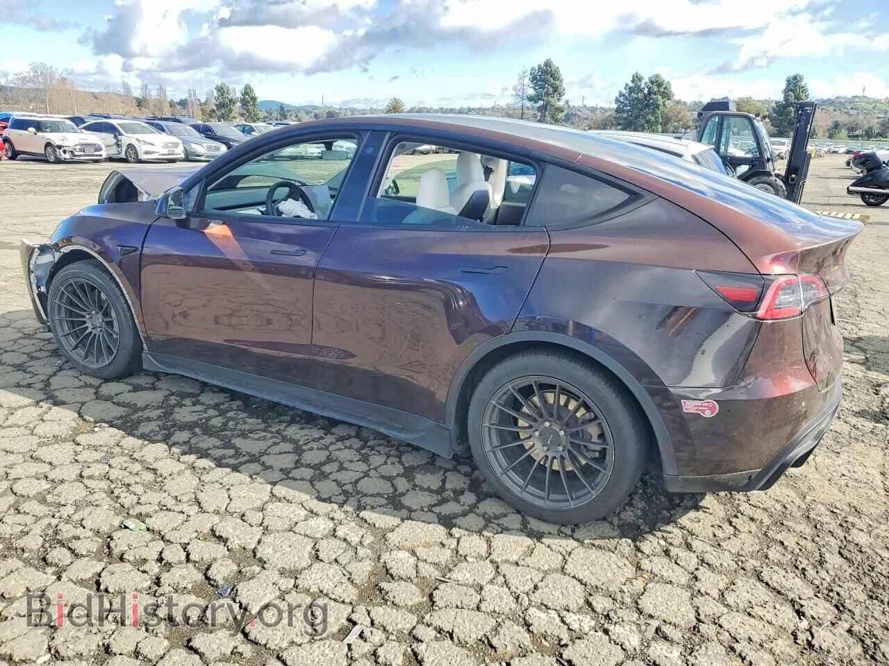 2023 TESLA MODEL Y - VIN: 7SAYGDEE2PF683764 - Photo 2