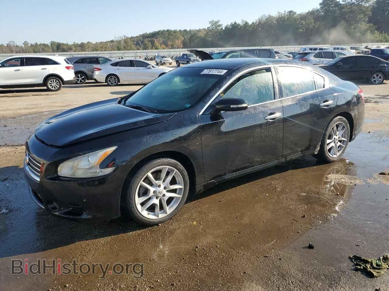 Photo 1N4AA5AP1AC822256 - NISSAN MAXIMA 2010