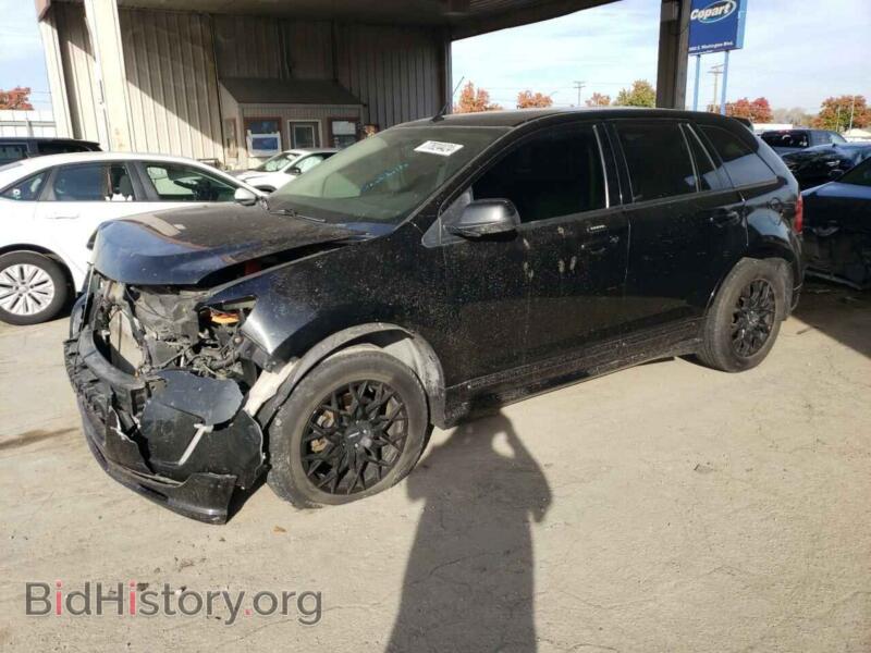 2014 Ford EDGE Sport (VIN 2FMDK4AK7EBA72995) — фото 1 из 14, Copart, повреждение: передняя часть