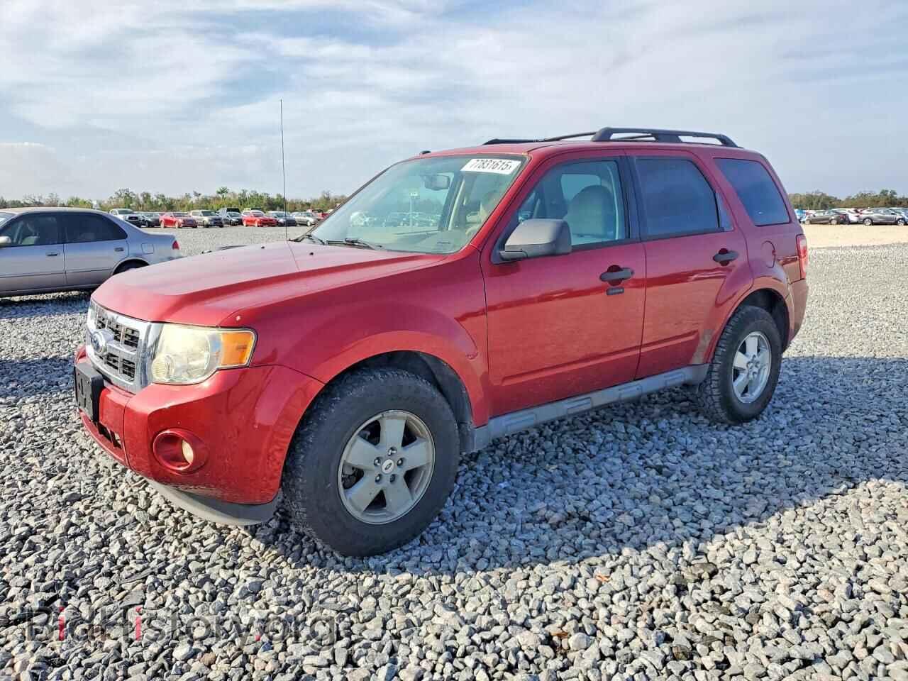 Photo 1FMCU0DG9CKB49276 - FORD ESCAPE 2012